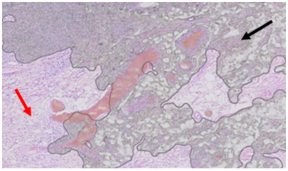 A close-up of a microscope AI-generated content may be
incorrect.