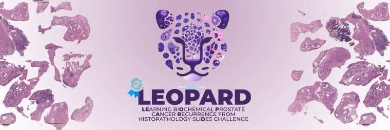 LEOPARD Challenge 2024 – Celebrating PAICON’s Success