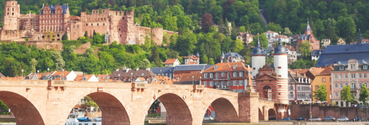 PAICON at the MSI Symposium Heidelberg 2025